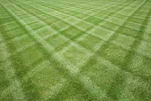 Dayton Commercial Lawn Care