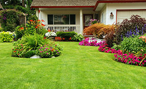 Landscaping Services