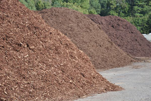 Dayton Playground Mulch