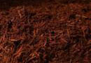 Rosewood Mulch